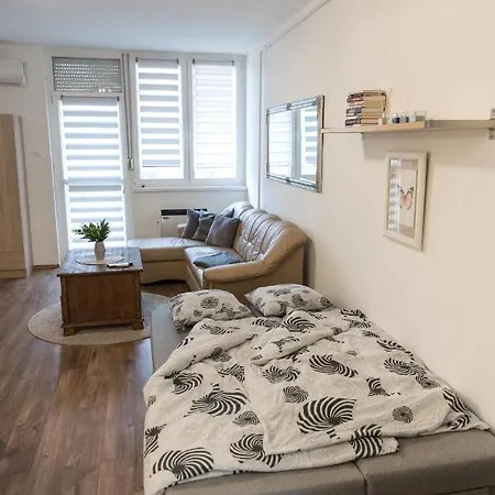 Apartamento Sflower Eger