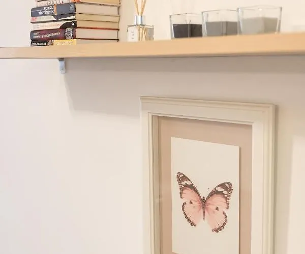 Sflower Apartament Eger