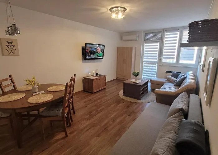Apartament Sflower Eger